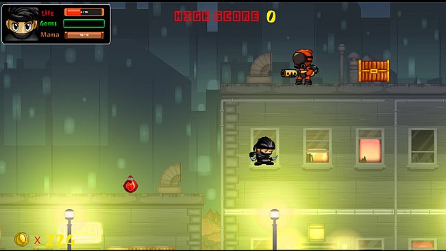 The Element Ninjas