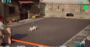 Cat Meow-tilation