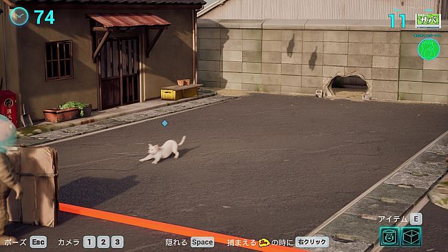 Cat Meow-tilation