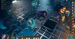 Capes Supporter Pack