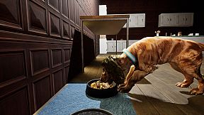 Good Boy The Long Night