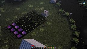 Tales from The Dancing Moon