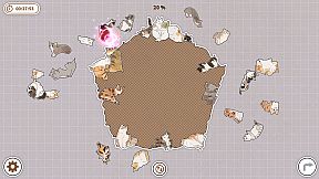 Cats Huddled Together 挤在一起的猫猫们