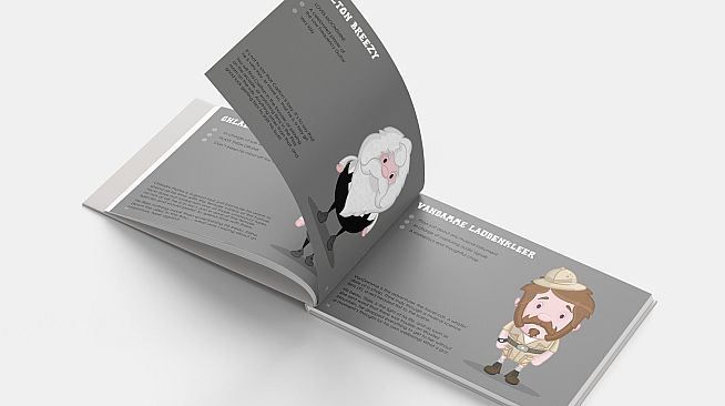 The Mystery Of Woolley Mountain  - Art Book