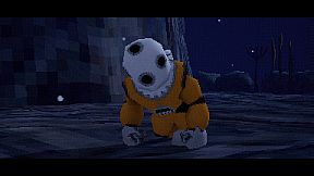 The Sirena Expedition