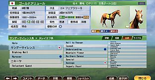 WP9 2022 １９９８年スタート スターホース購入権フルセット 全１３頭