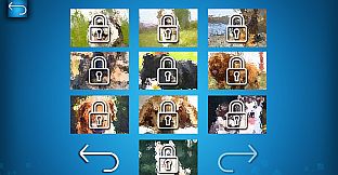 PUZZLE: CATS & DOGS - Puzzle Pack: Summer Dogs