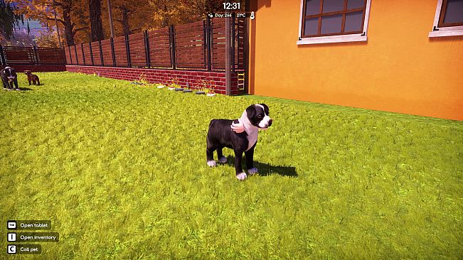 Animal Shelter 2 - Bull-Type Terriers Dogs Pack