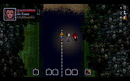 Story Of the Survivor