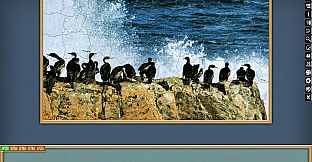 Jigsaw Puzzle Pack - Pixel Puzzles Ultimate: PP2 Birds