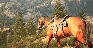 Medieval Horse Simulator