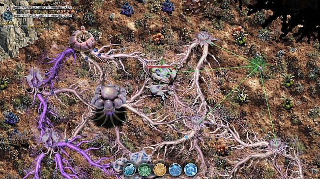 Mycelium Conquest