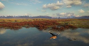 theHunter: Call of the Wild - Salzwiesen Park - Windows10