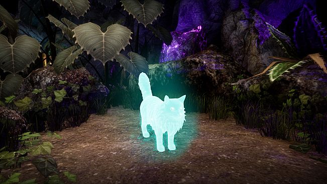 Another Sight - Hodge Skins