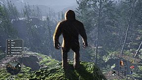 Bigfoot Life