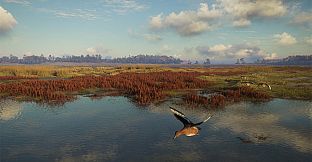 theHunter: Call of the Wild - Salzwiesen Park