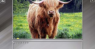 Super Jigsaw Puzzle: Generations - Random Animals Puzzles