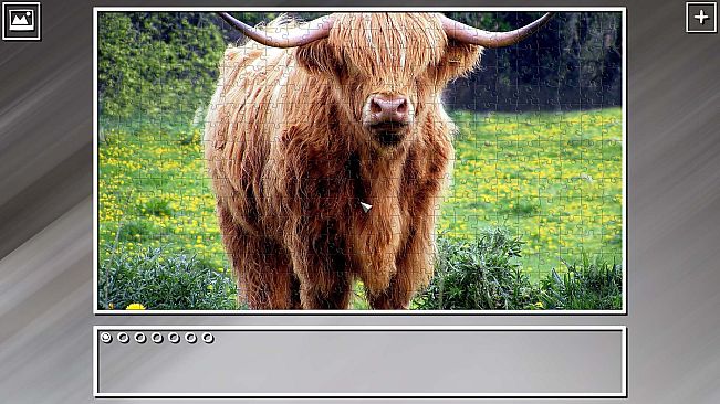 Super Jigsaw Puzzle: Generations - Random Animals Puzzles