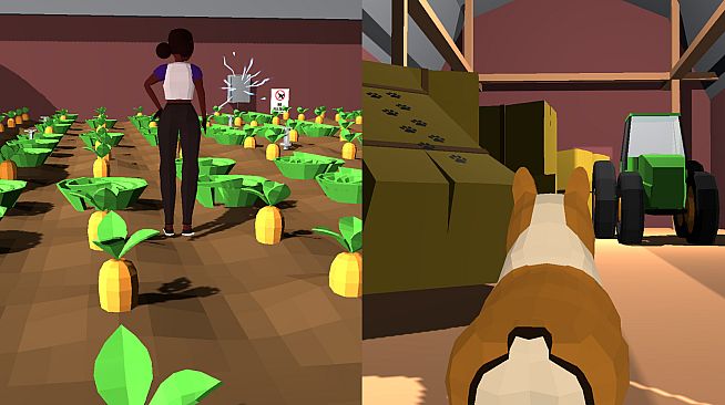 Kika & Daigo: A Curious Tale