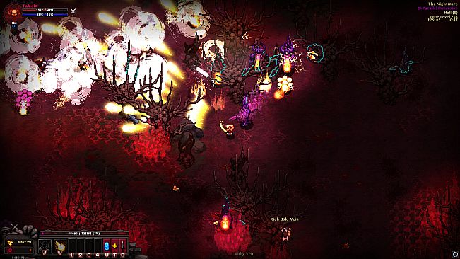 Hero Siege - Avenger Paladin (Class + Skin)