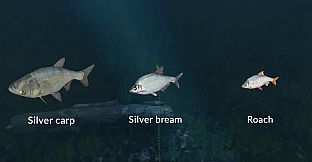 Ultimate Fishing Simulator - New Fish Species