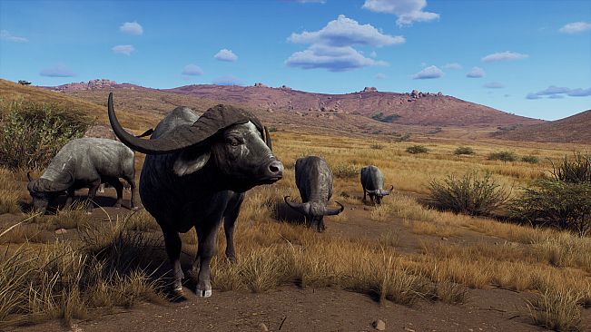 Way of the Hunter - Tikamoon Plains