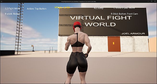 Virtual Fight World
