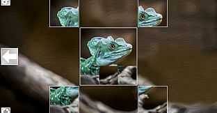Puzzle Art: Reptiles