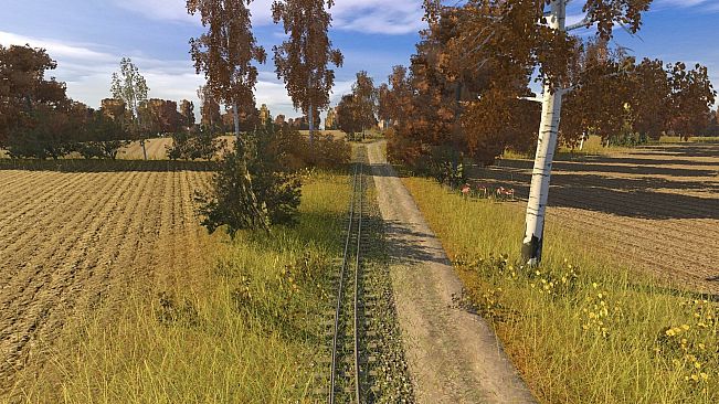 Trainz Plus DLC - Swedaryn Island Narrow Gauge Railway