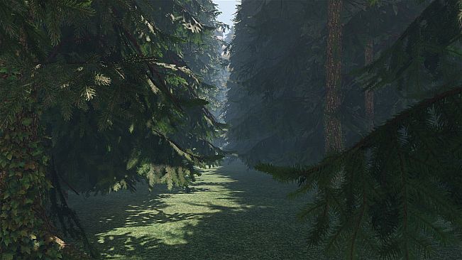 maze to the old castle