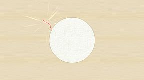 Play With Your Cat! - A Virtual Toy Box