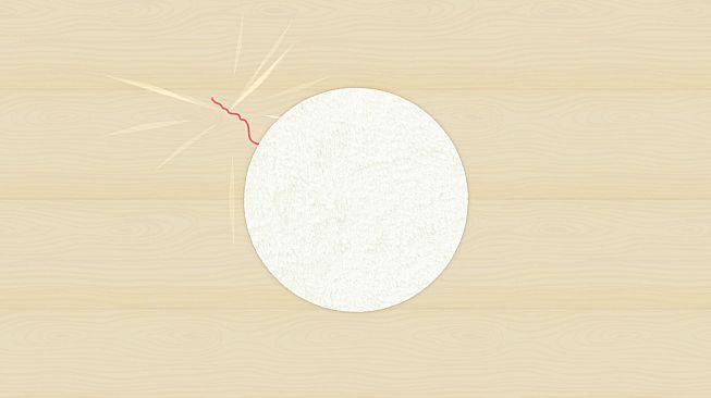 Play With Your Cat! - A Virtual Toy Box