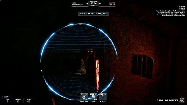 Sneaky Pig: Druid Hide & Seek