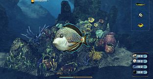 Depth Hunter 2: Scuba Kids - Hidden Treasures