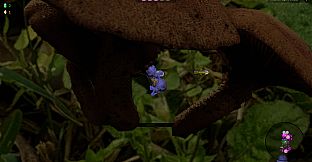 Shroomocracy! And The Wand Of Ages