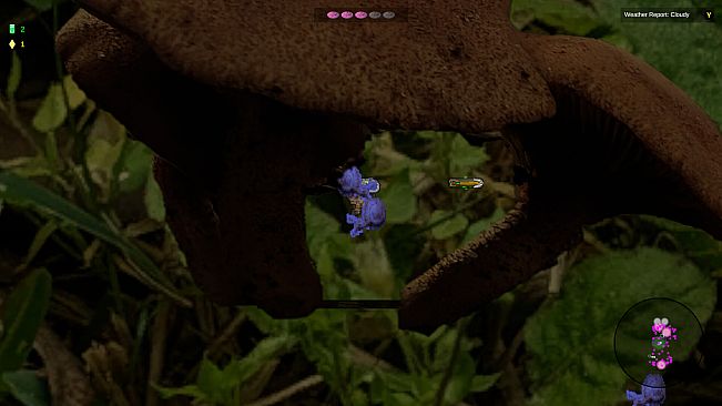 Shroomocracy! And The Wand Of Ages