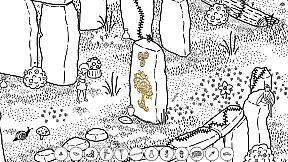 Ava's Hidden Adventures