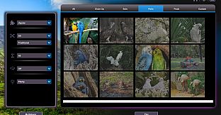 Let's Play Jigsaw Puzzles: Birds