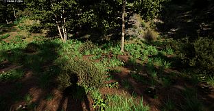 Farmer's Kitchen