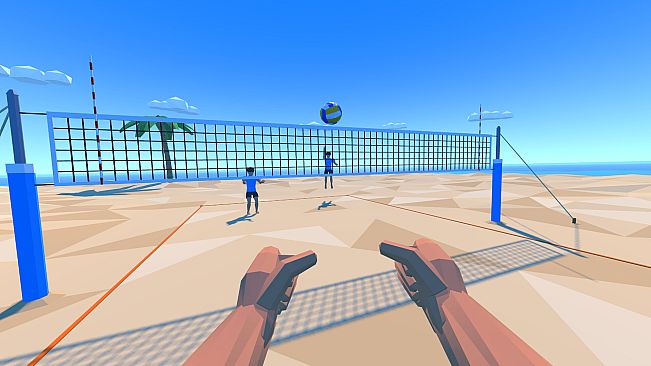 Beach Volleyball VR