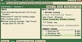 Tiny Club Manager
