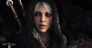 The Witcher 4
