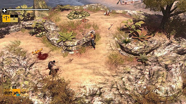 How to Survive: Storm Warning Edition