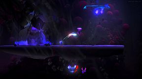 Cosmic: A Journey Among Shadows