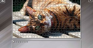 Super Jigsaw Puzzle: Generations - Cats 3