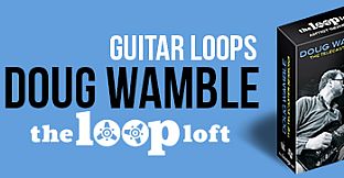 The Loop Loft - Doug Wamble The Telecaster Sessions