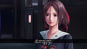 SG/ZH: School Girl/Zombie Hunter