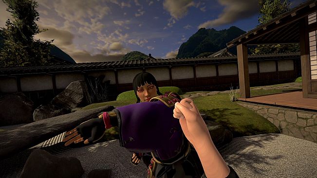 Dragon Fist VR -  Japanese Garden