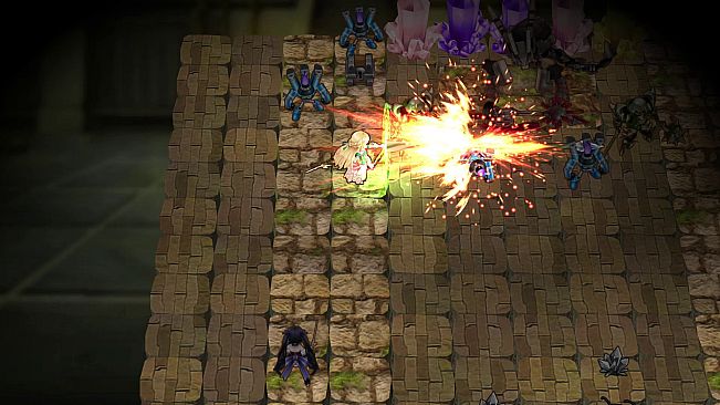 Shachibato! × Hyperdimension Neptunia Collaboration 2