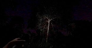 The Remains of Dahlia